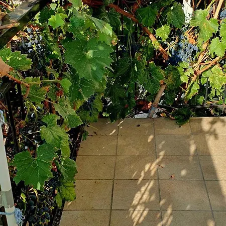 Casa Lorelein