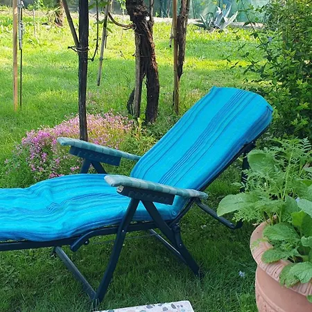 Casa Lorelein