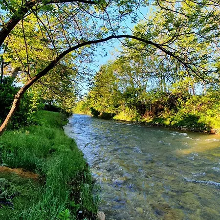 Apartman Casa Lorelein *