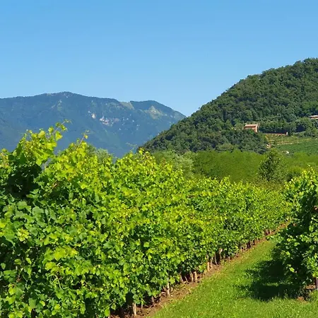 Casa Lorelein Διαμέρισμα